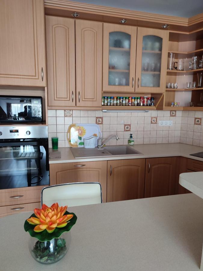 Larix Apartman Sárvár المظهر الخارجي الصورة